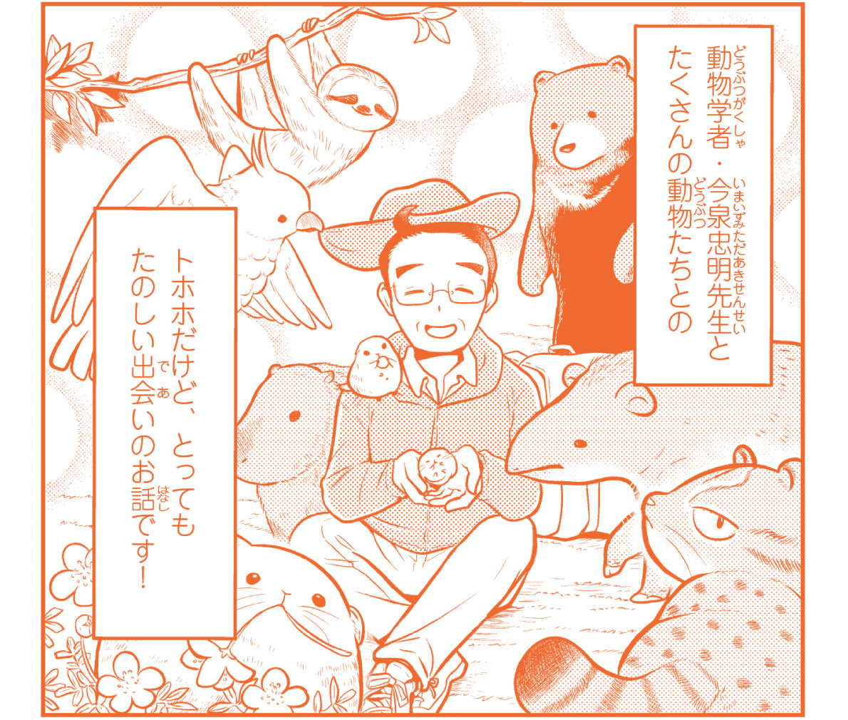 超希少】【初版、新品並美品】古本 どうぶつたちのおはなし 監修