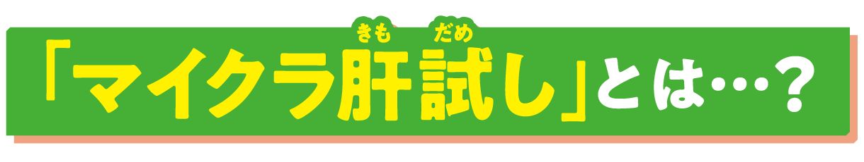 「マイクラ肝試し」とは…？
