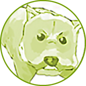 キャラクターイメージ画像