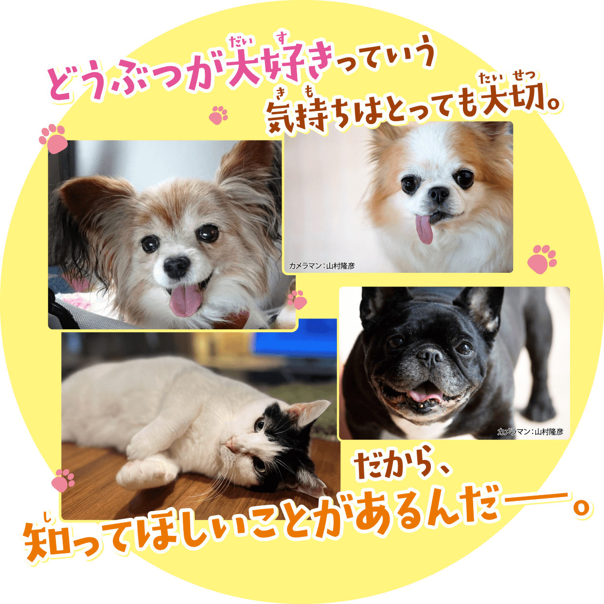 どうぶつが大好きっていう気持ちはとっても大切。だから、知ってほしいことがあるんだ−。