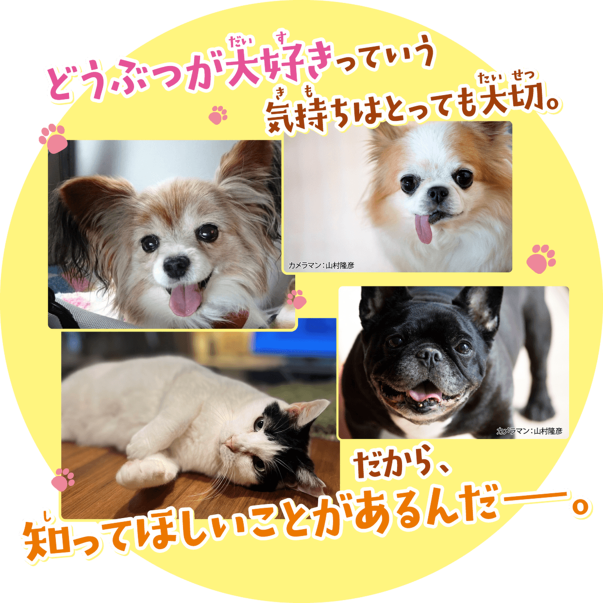 どうぶつが大好きっていう気持ちはとっても大切。だから、知ってほしいことがあるんだ−。