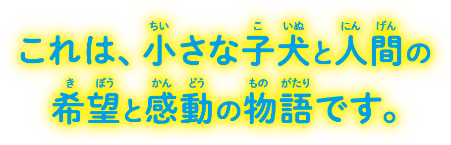 これは、小さな子犬と人間の希望と感動の物語です。